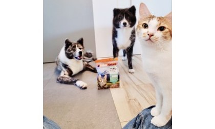 Hyperr貓凍乾生食.放飯好輕鬆