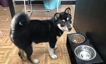 Hyperr無穀飼料.飼料直接秒殺