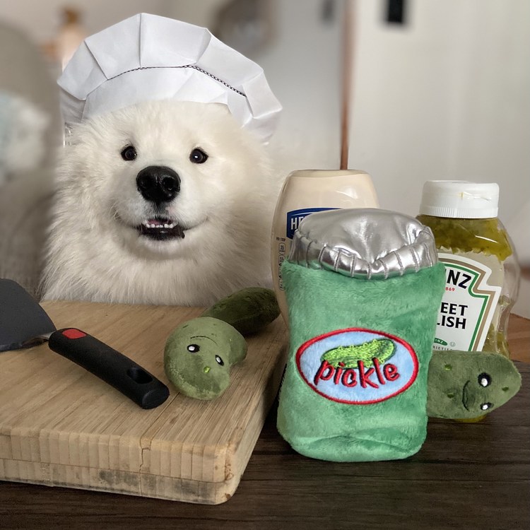 CHEWFFON 酸黃瓜罐 藏食嗅聞玩具 啾啾聲 狗玩具 寵物玩具