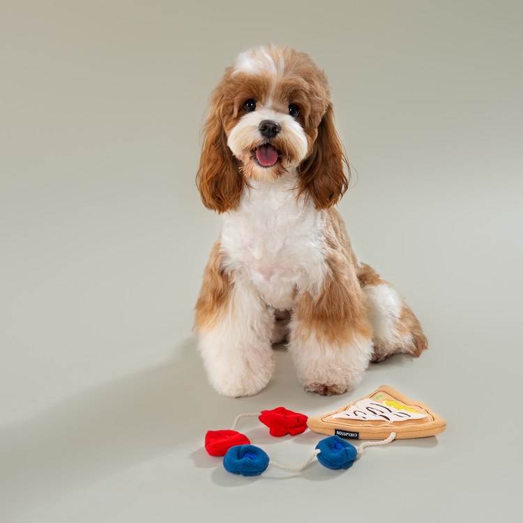 CHEWFFON 法式薄餅 藏食嗅聞玩具 啾啾聲 狗玩具 寵物玩具