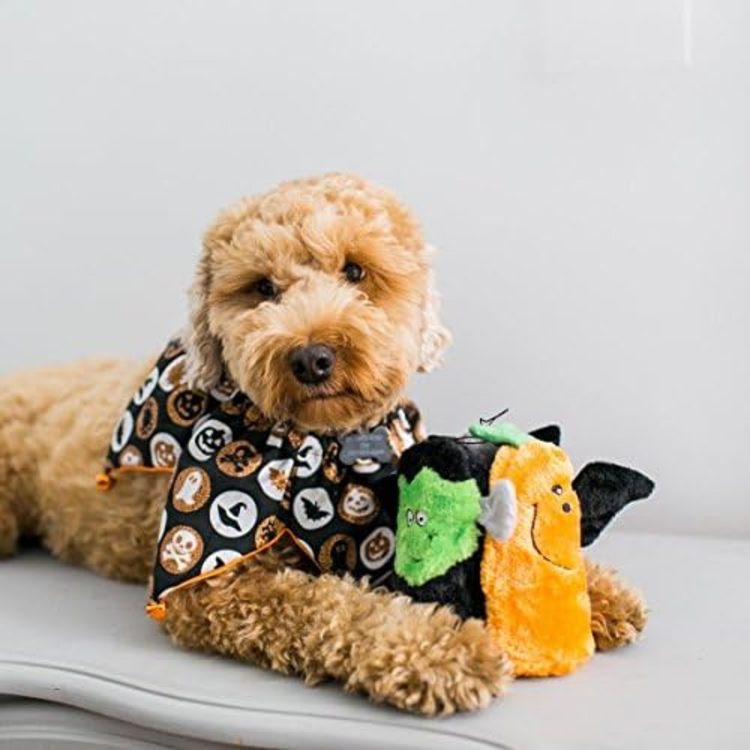 ZippyPaws 節慶系列 鬼鬼出沒(三入) 啾啾聲 寵物玩具