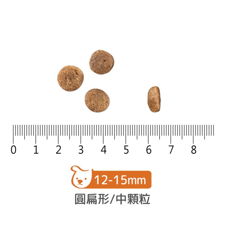 【即期】now 鮮肉中型幼犬 無穀天然糧 (狗飼料|狗糧)