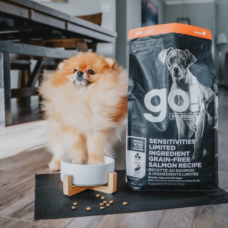go! 全口味300克天然糧 無穀狗糧 (狗飼料|犬糧)