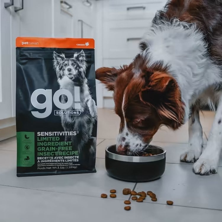 go! 全口味300克天然糧 無穀狗糧 (狗飼料|犬糧)