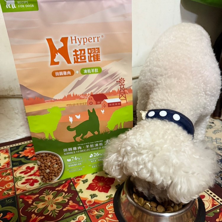Hyperr超躍 雞肉羊肚 狗狗無穀飼料佐凍乾 (狗飼料|犬糧)