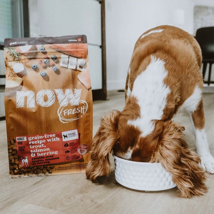 now 鮮肉無穀 22磅 狗狗天然糧 (狗飼料|狗糧)