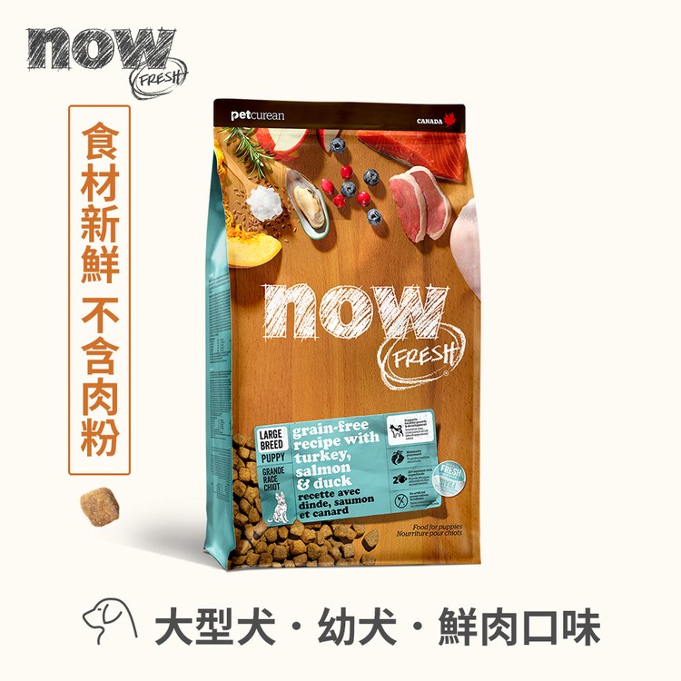 now 全口味狗糧 300克 無穀天然糧 (狗飼料|犬糧)