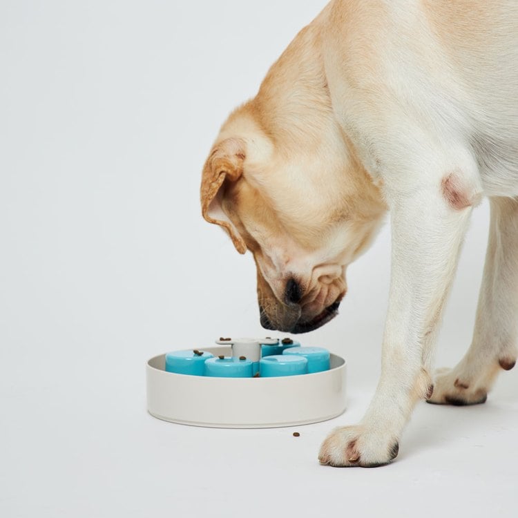 PetDreamHouse 調色盤 旋轉益智慢食碗(狗玩具｜藏食玩具)