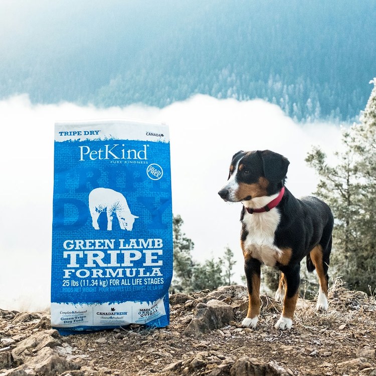 PetKind野胃 原始系列 天然鮮草肚狗糧 (狗飼料|無榖)