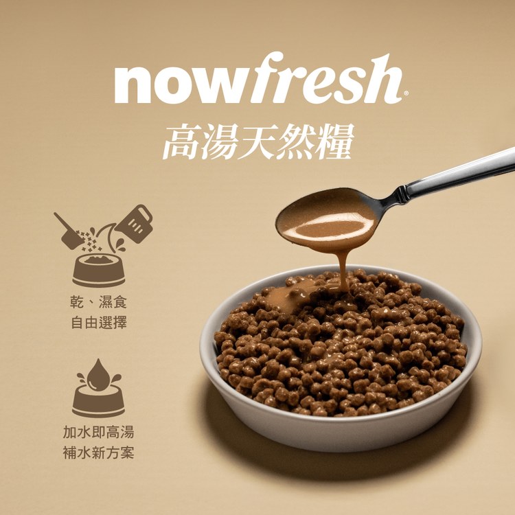 now 全口味 貓咪高湯天然糧 (乾濕兩吃|貓糧)