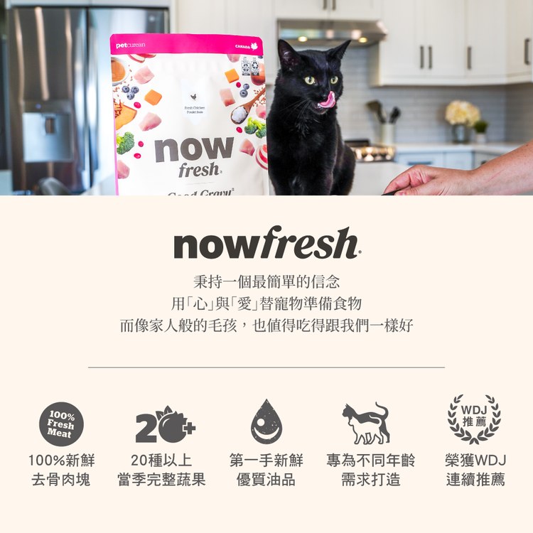 now 雞肉成貓 高湯天然糧 (乾濕兩吃|貓糧)