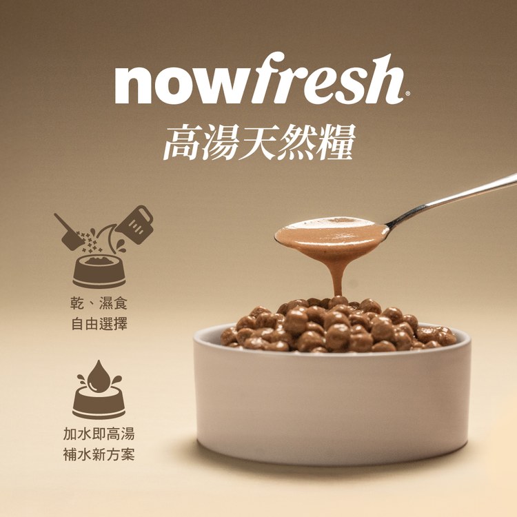now 牛肉中型成犬 高湯天然糧 (乾濕兩吃|犬糧)