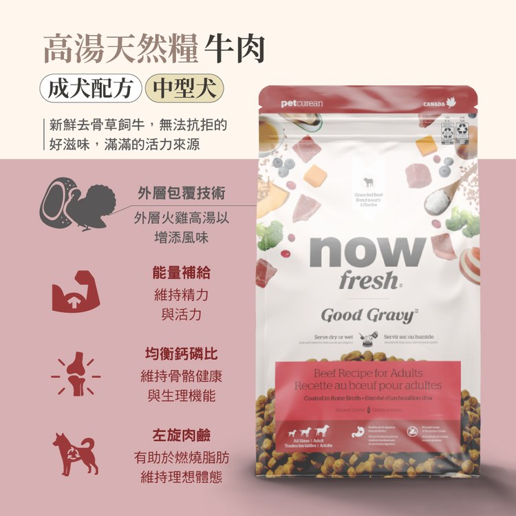 now 牛肉中型成犬 高湯天然糧 (乾濕兩吃|犬糧)