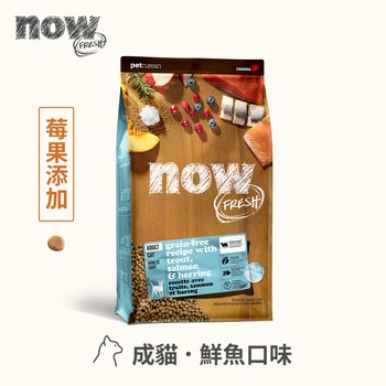 now 全口味 貓咪鮮肉無穀天然糧 (貓飼料|貓糧)