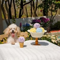 CHEWFFON 三色冰球 互動聲響玩具 啾啾聲 狗玩具 寵物玩具