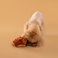 CHEWFFON 肉桂捲捲 藏食嗅聞玩具 啾啾聲 狗玩具 寵物玩具