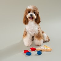 CHEWFFON 法式薄餅 藏食嗅聞玩具 啾啾聲 狗玩具 寵物玩具