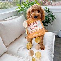 CHEWFFON 脆洋芋片 藏食嗅聞玩具 啾啾聲 狗玩具 寵物玩具