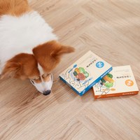 【狗狗組合包】Hyperr超躍 狗狗原汁營養生食餐
