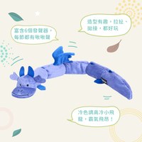 ZippyPaws 一條玩到底 小飛龍 拉扯玩具 寵物玩具
