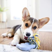 ZippyPaws 不可能這麼會咬 超耐咬大象 耐啃咬 寵物玩具