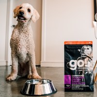 go! 全口味300克天然糧 無穀狗糧 (狗飼料|犬糧)