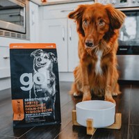 go! 低致敏系列 無穀狗糧 (狗飼料|犬糧)