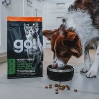 go! 全口味300克天然糧 無穀狗糧 (狗飼料|犬糧)