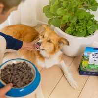 ZIWI巔峰 羊肚羊肉 經典系列 狗糧 (狗飼料|生食肉片)