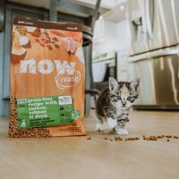 now 全口味 貓咪鮮肉無穀天然糧 (貓飼料|貓糧)