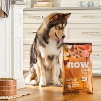 now 中型犬鮮肉無穀天然糧 (狗飼料|狗糧)