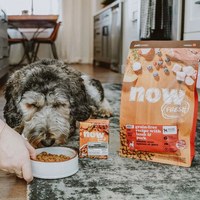now 全口味狗糧 300克 無穀天然糧 (狗飼料|犬糧)