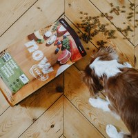 now 小型犬鮮肉無穀天然糧 (狗飼料|狗糧)