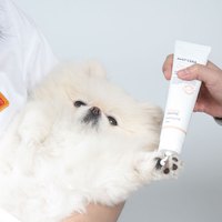 Breezytail 狗狗保濕護膚乳液(狗狗專用｜肌膚保濕)