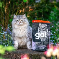 go! 雞肉 成貓 化毛泌尿保健貓糧 (貓飼料|貓糧)