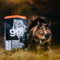 go! 雞肉 成貓 化毛泌尿保健貓糧 (貓飼料|貓糧)