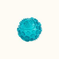 ZippyPaws 球就是經典 彈力球 耐啃咬 狗玩具 寵物玩具