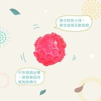 ZippyPaws 球就是經典 彈力球 耐啃咬 狗玩具 寵物玩具