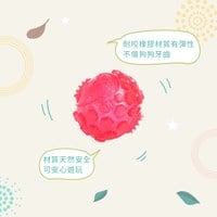 ZippyPaws 球就是經典 彈力球 耐啃咬 狗玩具 寵物玩具