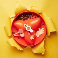 PetDreamHouse 九重葛 旋轉益智慢食碗(狗玩具｜藏食玩具)