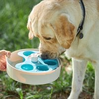 PetDreamHouse 調色盤 旋轉益智慢食碗(狗玩具｜藏食玩具)