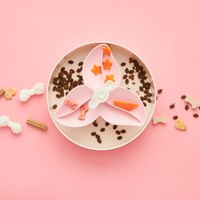 PetDreamHouse 九重葛 旋轉益智慢食碗(狗玩具｜藏食玩具)