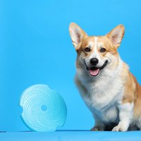 PetDreamHouse 配件專區 旋轉益智慢食碗(狗玩具｜藏食配件)