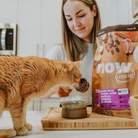 now 全口味300克天然糧 無穀貓糧 (貓飼料|貓糧)