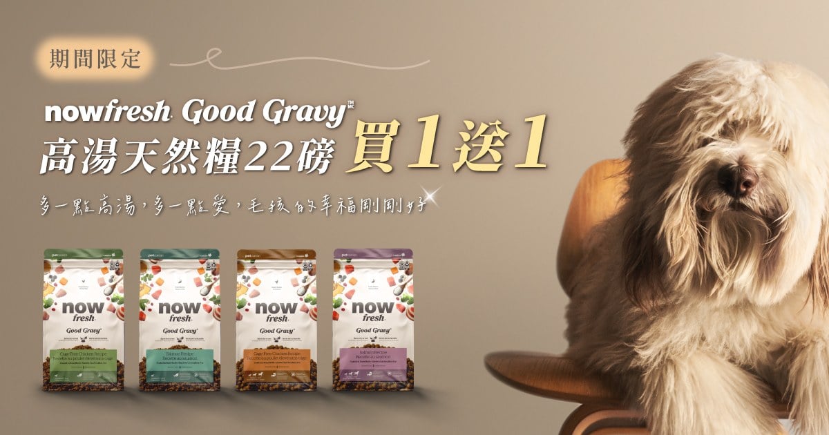 買1送1．now 高湯天然犬糧22磅