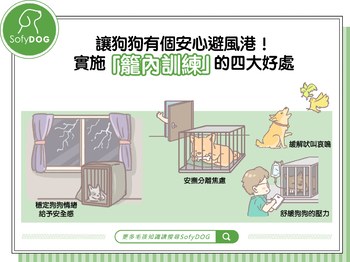 籠內訓練！讓狗狗有個安心避風港
