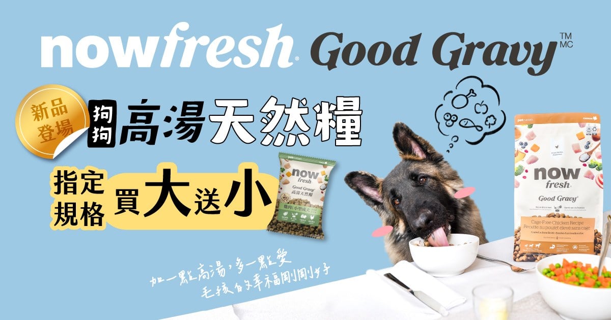 買大送小．now gravy 狗狗高湯天然糧