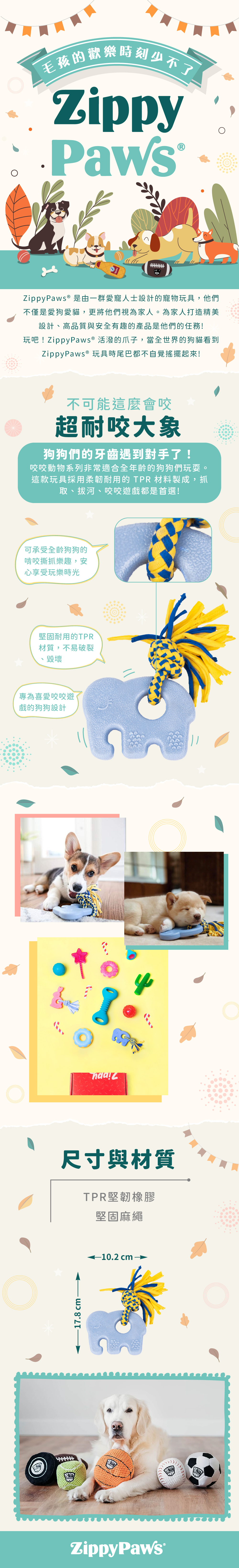 ZP_超耐咬大象_商品說明頁02