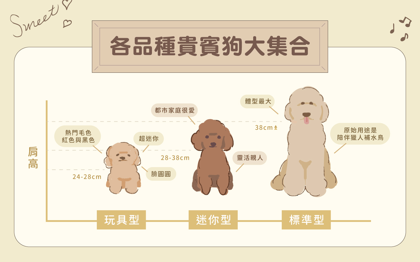 貴賓狗_品種
