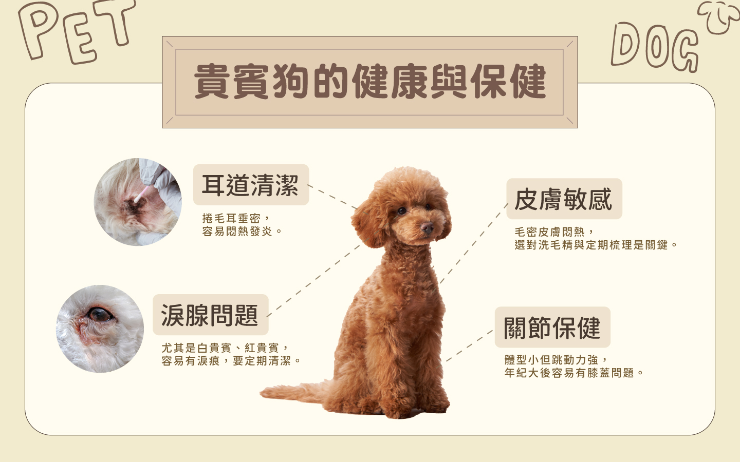 貴賓狗照護